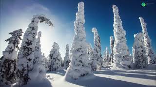 Finland's Finest Ski Resorts: Top Ski Resorts for Your Ultimate Winter Adventure! (Part 1)
