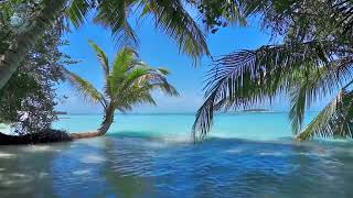 🌴 Ocean Ambience on a Tropical Island Maldives with Soothing Waves & Paradise View for Relaxation