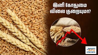 இனி கோதுமை விலை குறையுமா? | Wheat | ஜனம் தமிழ்