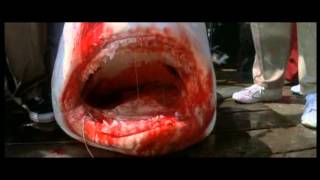 Jaws trailer's Mashup Sorcerer ( William Friedkin )