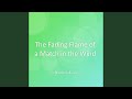 The Fading Flame of a Match in the Wind