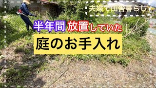 【庭草刈り】半年間放置していた畑のお手入れ【色々出てきました】