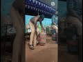 गैस ऊंचा उठा फिर गिरा। സിലണ്ടർ പൊക്കി ഷോ പാളി lpg gas cylinder lifting fail century celebrations