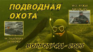 Подводная Охота в Марте на СОМА. Чуть не ЗАЦЕПИЛИСЬ за браконьерские крючки. Волгоград 2023......