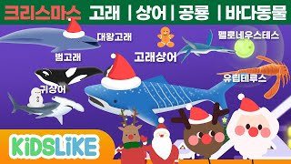 [크리스마스특집] 상어 | 고래 | 바다동물 | 바다공룡 종류 #크리스마스 10분연속재생