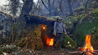 I built a Bushcraft Winter Shelter: Surviving the Cold