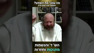 מה עוצר את השפע? | פרשת קדושים | |פט