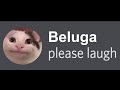 Every Beluga video be like...