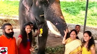 Mysore Dasara 2022 : Ministers Shobha \u0026 Somashekar Day with Dasara Elephants