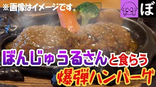 【音声動画】写真が撮れない男たちのハンバーグ