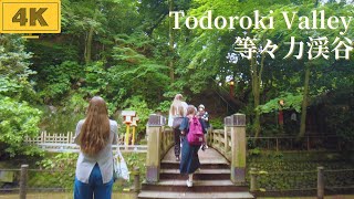 【4K/Tokyo】 walk in Japan/等々力渓谷を散歩