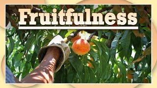 Pt. 1 - Precious Time (Fruitfulness)