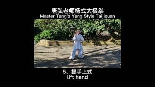 唐弘老师杨式太极拳  第5、6式 Master Tang's Yang Style Taijiquan Action 5，6