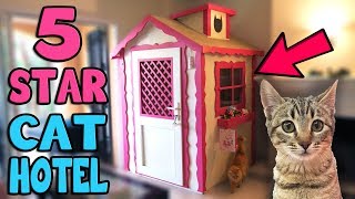 CHIBI GOES TO 5 STAR CAT HOTEL!!!