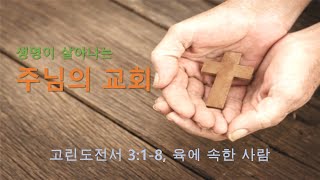 고린도전서 3:1-8, 육에 속한 사람