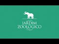 ao visitar o jardim zoológico...