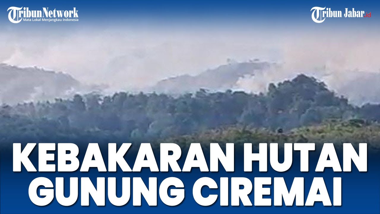 Kebakaran Hutan Gunung Ciremai Kuningan Meluas, Api Di Blok Bukit ...