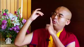 "How To Meditate" ~ Mingyur Rinpoche (Part 1 of 3)