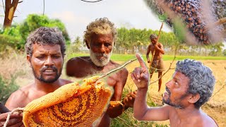 😋Honey hunting | குச்சி தேன் வேட்டை | village reality cooking