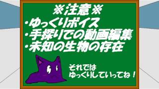 5周年　FFRKガチャ報告ラスト