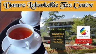 Damro Labookellie Tea Centre | Smart Travel | Vlog 07