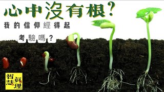 默想神的話by 製作經文卡：心中沒有根的田地。路加福音‬ ‭8:11, 13‬ ‭