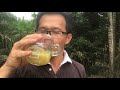 如何治咳嗽 ？3种秘方。一步一步做给你看。3 x best natural cough remedies for dry coughs.diy。 cara merawat batuk.diy.。