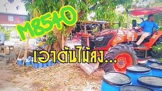 M8540ดึงต้นไม้ลง+มาฟังเสียงท่อไหม่กันว่าจะเป็นยังไงKubota m8540 tractor pull the tree