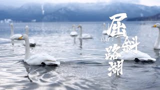 2024北海道day5 | 屈斜路湖 | 釧路 | 天鵝 | 海鮮刺身