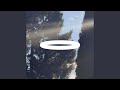 Field (Calm Pattern Designed for Cognitive Brain Fog)