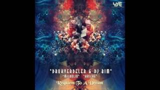 Drukverdeler & DJ Bim - Requiem to a Dream (Overture Version)
