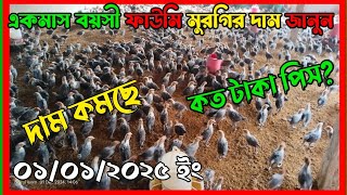 একমাস বয়সী ফাউমি মুরগির দাম জানুন || ফাউমি মুরগি কোথায় পাওয়া যায় || fawmi murgir price #chicken