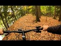 UTM Nature Trail | University of Toronto Mississauga | 2020 GT Avalanche