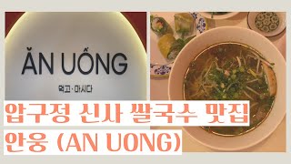 VLOGㅣ신사동 새로 오픈한 쌀국수 맛집ㅣ현지에서 먹던 그 맛 그대로!!!ㅣ여기서 한 번 먹으면 다른데 못. .. 가 ...