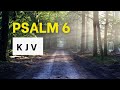 Psalm 6 | KJV Audio Bible | Words + No music