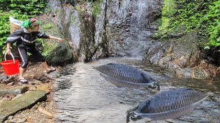 Meet many giant fish in a puddle. Use tongue and bamboo to catch fish. Caught many giant fish