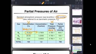 Ch 7 - recording 4 - pulmonary diffusion