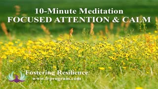 10-Minute Meditation | Fostering Resilience with Focused Attention and Calm | Dr. KJ Foster