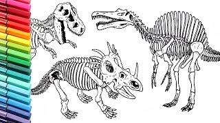 Drawing and Coloring Dinosaurs Skeleton - How to Draw and Color Dinosaurs From Jurassic Parck
