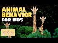 ASL Animal Behavior for Kids