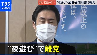 自民・白須賀議員が離党 宣言中に高級ラウンジ【news23】