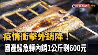 疫情衝擊外銷降！ 國產鰻魚轉內銷1公斤剩600元－民視新聞