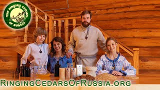 Cedar Nut Oil from Ringing Cedars. Genuine Siberian Cedar Nut Oil made in Kin’s Domain Space of Love