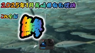 【水中映像】1月初旬長崎県超有名堤防でアジ釣り(仕掛けにかかる魚の映像を完全撮影)