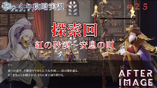 【AFTERIMAGE】第25回　探索回　紅の砂漠～安息の町　じっくり攻略実況　アフターイメージ