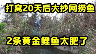 广西农村地下暗河打窝20天，引出大货鱼群聚窝，开钓得用大抄网捞鱼【壮乡小莫】