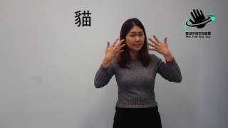 手語教學 第一集 HKSL classroom -- Lesson 1 (香港手語/HKSL)