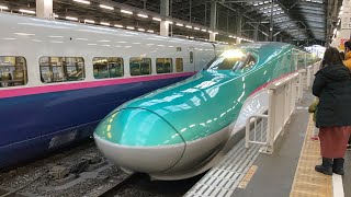 【E5系が新潟駅にやって来た！】E5系　新潟駅到着