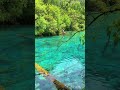 jiuzhaigou