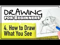 DRAWING FOR BEGINNERS Part 4: How to Draw What You See